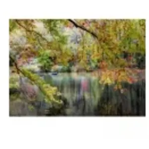 Alipson Puzzle Branches au Bord de la Rivière Puzzle-50030 pas cher