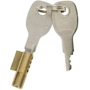 Serrure tête d'attelage antivol type winterhoff norauto pas cher