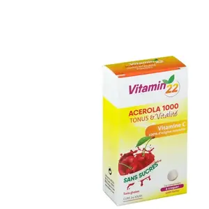 Ineldea Vitamin'22 Acérola 1000 24 comprimés à croquer pas cher
