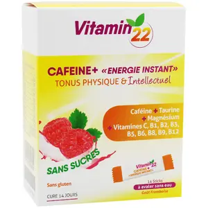 Ineldea Vitamin 22 Caféine+ 14 Sticks pas cher