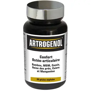Comparateur de prix : NutriExpert Artrogenol 60 gélules