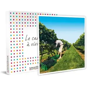 À la découverte de nos vignobles - SMARTBOX - Coffret Cadeau Gastronom... pas cher