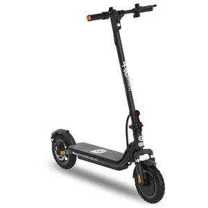 Trottinette électrique - EX100 - 450 W - Roues 10 - Autonomie 25 km