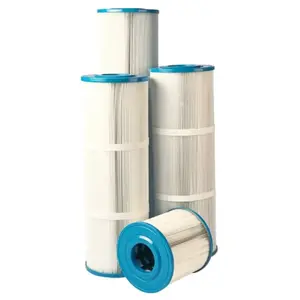 POOLEX CARTOUCHE FILTRATION POUR FILTRE NFX075 pas cher