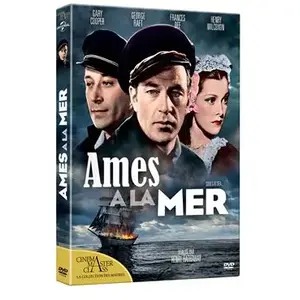 Eléphant mes à la mer DVD pas cher
