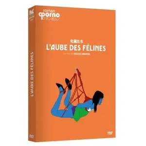 Eléphant L'aube des félines DVD pas cher