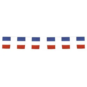 Party Pro 873033 Guirlande drapeaux tricolore France 10 mètres pas cher