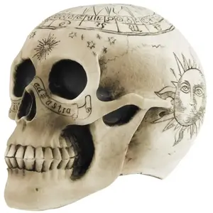 PARTYPRO - Skeletschedel met pentagram 18 x 12 x 15 cm pas cher