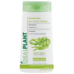 IDEALPLANT SHAMPOOING ALGUES 250 ML IDÉAL PLANT - K0114 pas cher