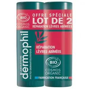 Dermophil Indien Stick Réparation Lèvres Abîmées Bio Lot de 2 x 4g pas cher