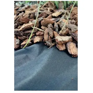 Toile de paillage 100g/m2 WERKA PRO 1 x 25m pas cher