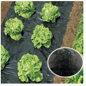 Film percé de paillage potager WERKA PRO pas cher