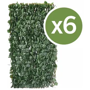Habitat et Jardin Lot De 6 Clôtures En Treillis De Saule Fragon - 200 X 100 Cm - Vert pas cher