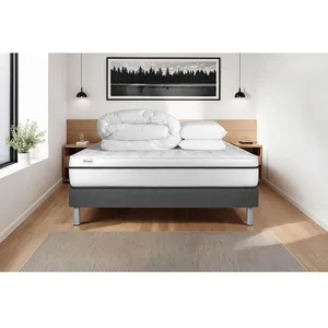 Comparateur de prix : VITALIT Ensemble sommier matelas 160x200 VITAL SPA Mémoire de forme - 24 cm - Ferme - sommier kit gris + 2 oreillers + couette