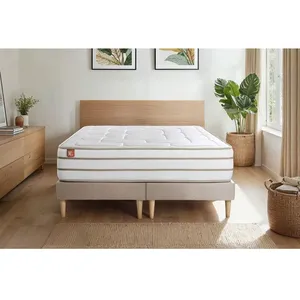 Ensemble LE DOUILLET 200x200cm Mémoire de forme BioVisco - Maxi épaisseur 26cm + double sommiers Beige pas cher