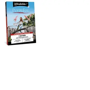 Coffret cadeau Connect Puy du Fou 1 Entrée 1 Personne pas cher