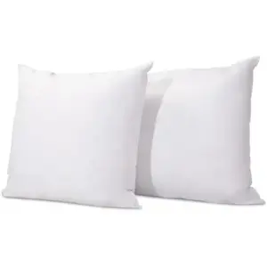 Lot de 2 oreillers Natura 60x60 cm Duvet & PlumessVendu parcdiscount