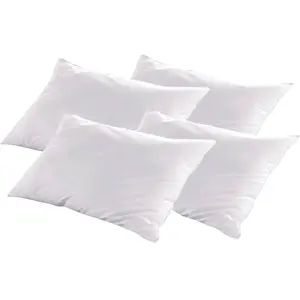 Lot de 4 oreillers Natura 45x70 cm Duvet & Plumess pas cher