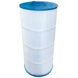 Filtre piscine Waterair CW100 / FCW100  compatible Haute Qualité 4OZ 1... pas cher