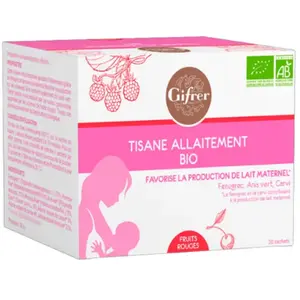 Gifrer Tisane Allaitement Fruits Rouges 20 Sachets pas cher