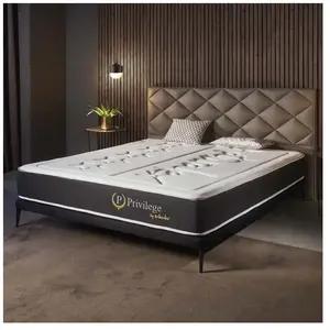 Matelas Naturalex Privilège 140x190 cm - Mousse HR et Blue Latex - Mémoire de forme - 7 zones pas cher