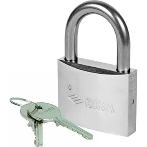 CISA Cadenas exterieur en inox 60 mm robuste et étanche résistant aux intempéries 2 clés pas cher