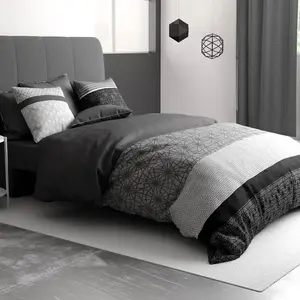 Parure de lit housse de couette avec taie d'oreiller 100% Coton 57 fils Sandro 240x260 cm pas cher