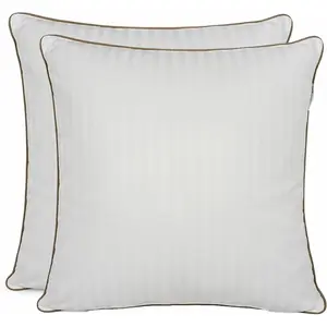 Lot de 2 oreillers 60x60 cm plume de canard blanc