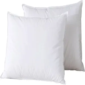 Lot de 2 oreillers 50x70 cm plume de canard blanc