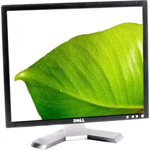 Dell E198FP 19 5 ms 1280 x 1024 60 Hz 5:4 TFT VGA DVI pas cher