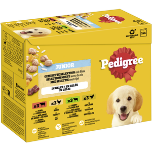 Pedigree Junior Mix Selectie In Gelei - Hondenvoer - 12x100 g pas cher