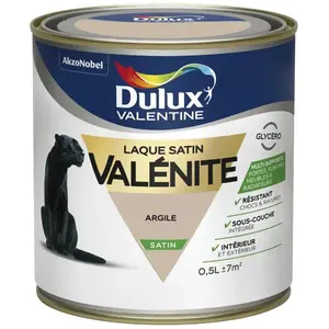 Laque Valénite Argile 05 L pas cher