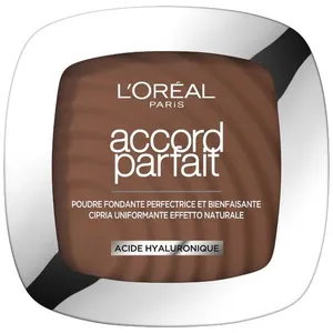 L'Oréal Paris Accord Parfait Poudre Unifiante 11N Café Profond 9g pas cher
