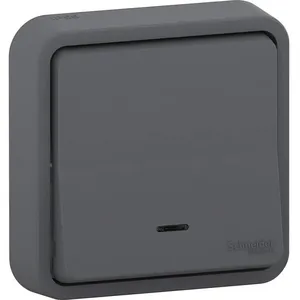 Schneider Electric Bouton Poussoir lumineux mureva Styl, 250 V, Gris -... pas cher