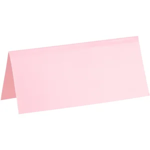 SANTEX 10 MARQUE PLACE ROSE pas cher