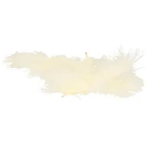 SANTEX 20 Plumes Ivoire pas cher