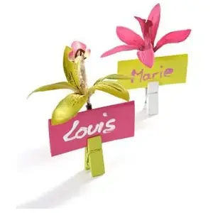 Marque-place en carton SANTEX - 10 pièces - 3 x 7 cm - Vert pas cher
