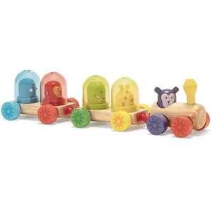 Djeco RAINBOWTRAIN pas cher