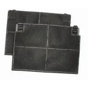 Brandt Lot de 2 filtres charbon ROBLIN 5403001 193x137x20mm (52991-284... pas cher