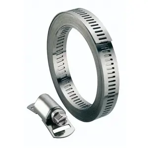 BOUTTÉ Collier bande ajourée sans fin acier - Longueur: 3 m - Largeur mm: 8 - Nb têtes: 8 pas cher