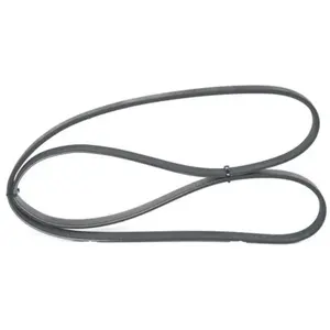 Bosch Automotive Multiriem