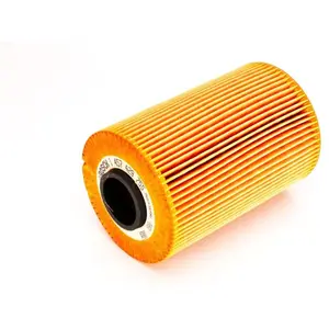 Bosch Automotive P9755 - Filtre à huile auto pas cher