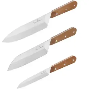 Set de couteaux TEFAL 3 couteaux Collection Paul Bocuse pas cher