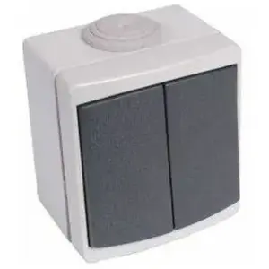 Debflex Double va et vient DEBFLEX PERLE 10 ampères étanche IP65 gris pas cher