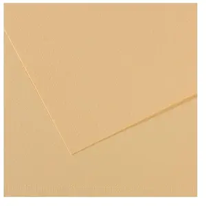 Canson - Papier Dessin Mi-teinte 50x65 Lichen - Paquet De 25 pas cher