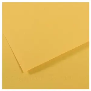 Canson CA03 MI-TEINTE 160G 50X65 BOUTON D'OR 40 pas cher