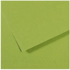 CANSON papier dessin Mi-Teintes 500 x 650 mm, vert pas cher