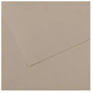 CANSON tekenpapier Mi-Teintes, 500 x 650 mm, grijsbruin pas cher