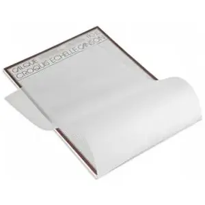 CANSON BLOC CALQ 50 FLES 90G A4 pas cher