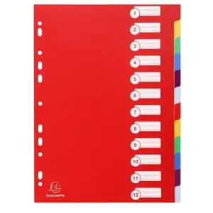 Exacompta 15x Tabbladen in stevige Ondoorzichtige PP - 12 tabs - A4 - Geassorteerd - 4912E pas cher